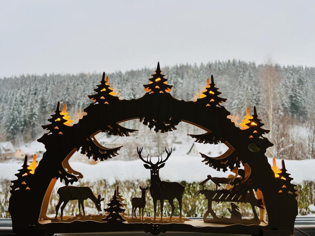 Urige Berghuette Mit Kamin Und Sauna Im Erzgebirge Nahe Schwarzwassertal Pobershau Екстер'єр фото