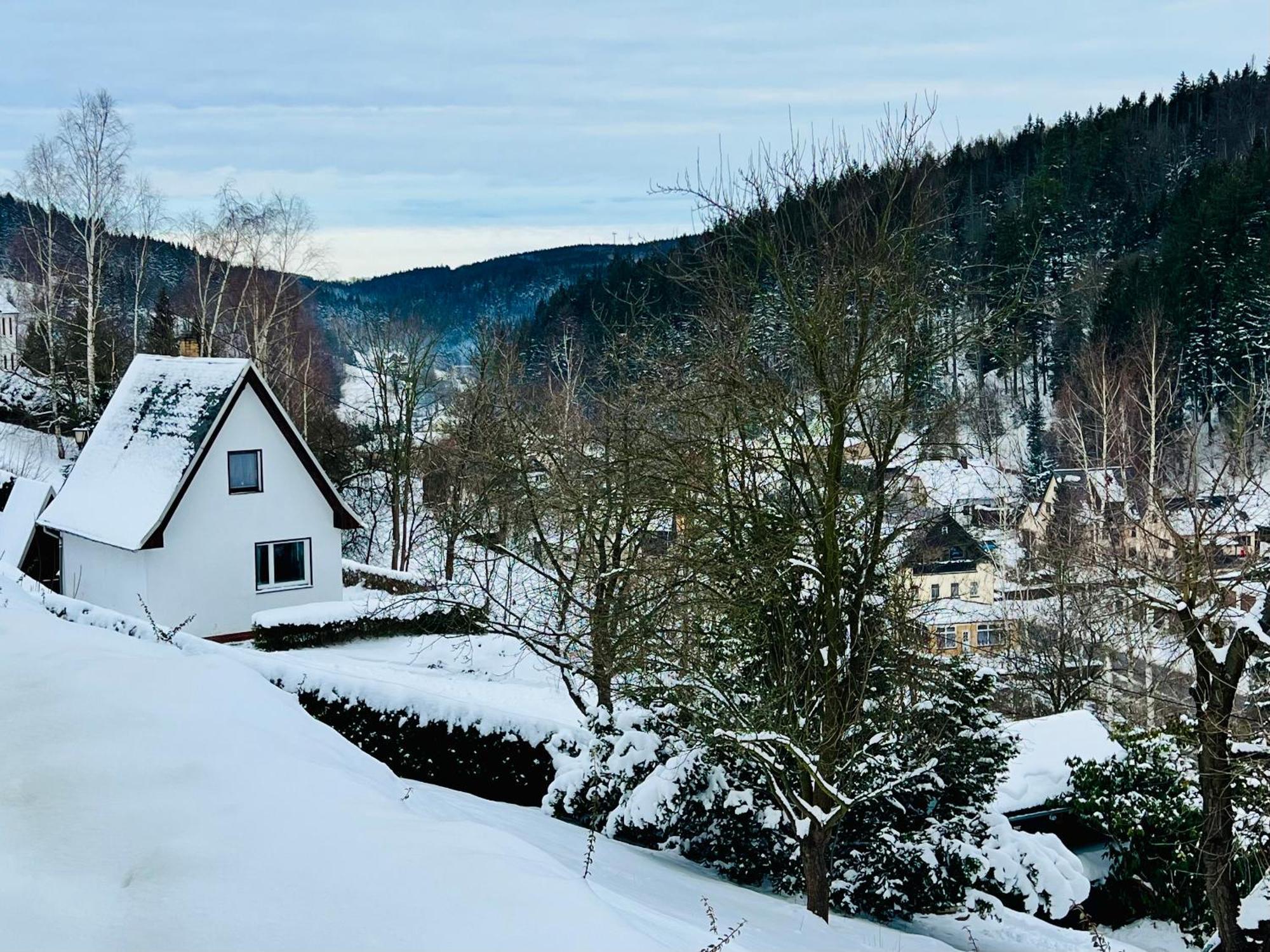 Urige Berghuette Mit Kamin Und Sauna Im Erzgebirge Nahe Schwarzwassertal Pobershau Екстер'єр фото